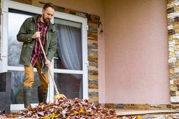 Best Basement Cleanout Services  in Albion, PA
